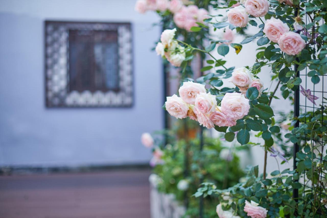 Wuzhen Dream Homestay Tongxiang